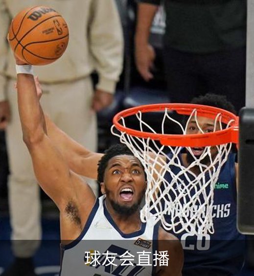 球友会直播简介